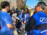 rabia, rabia transmitida por perros, rabia humana, eliminación de la rabia, rabia en Chile, OMS, Organización Mundial de la Salud, OPS, Organización Panamericana de la Salud, Chile, vacunación canina, vigilancia epidemiológica, profilaxis posexposición, zoonosis, salud pública, prevención de la rabia, Tedros Adhanom Ghebreyesus, May Chomalí, Ministerio de Salud, municipios, equipos de zoonosis, enfoque Una Salud, eliminación de enfermedades transmisibles, rabia en América del Sur, rabia en las Américas