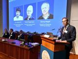 premio nobel medicina 2026, optogenética, neurociencia