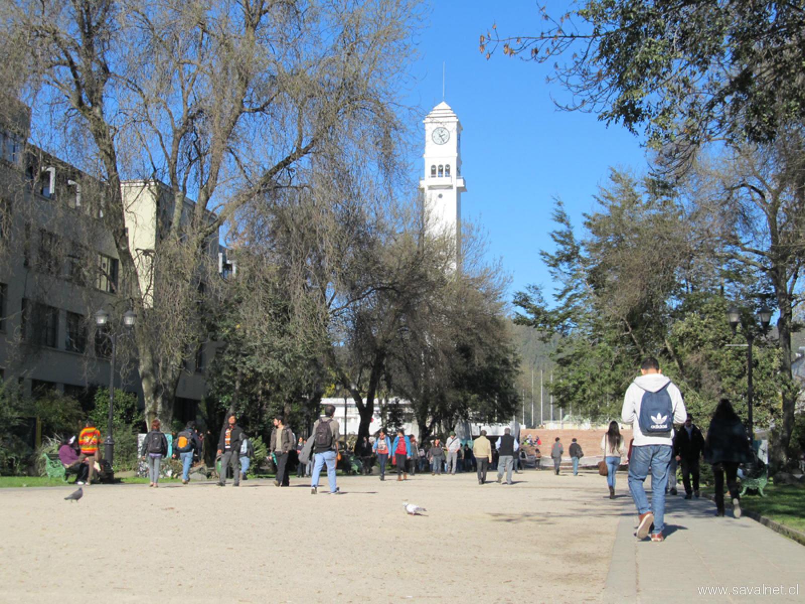 Medicina UdeC: consolidación y liderazgo
