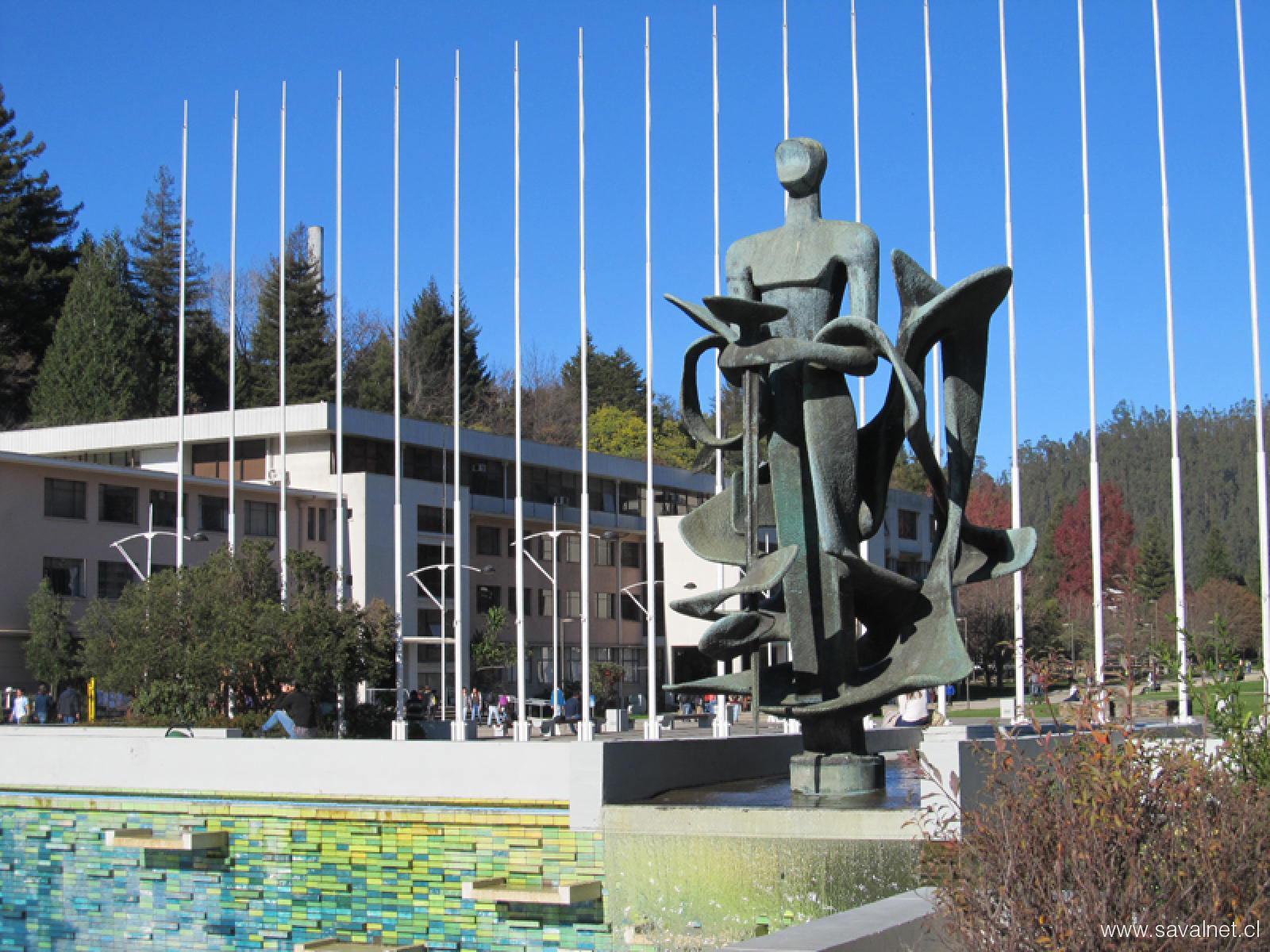 Medicina UdeC: consolidación y liderazgo