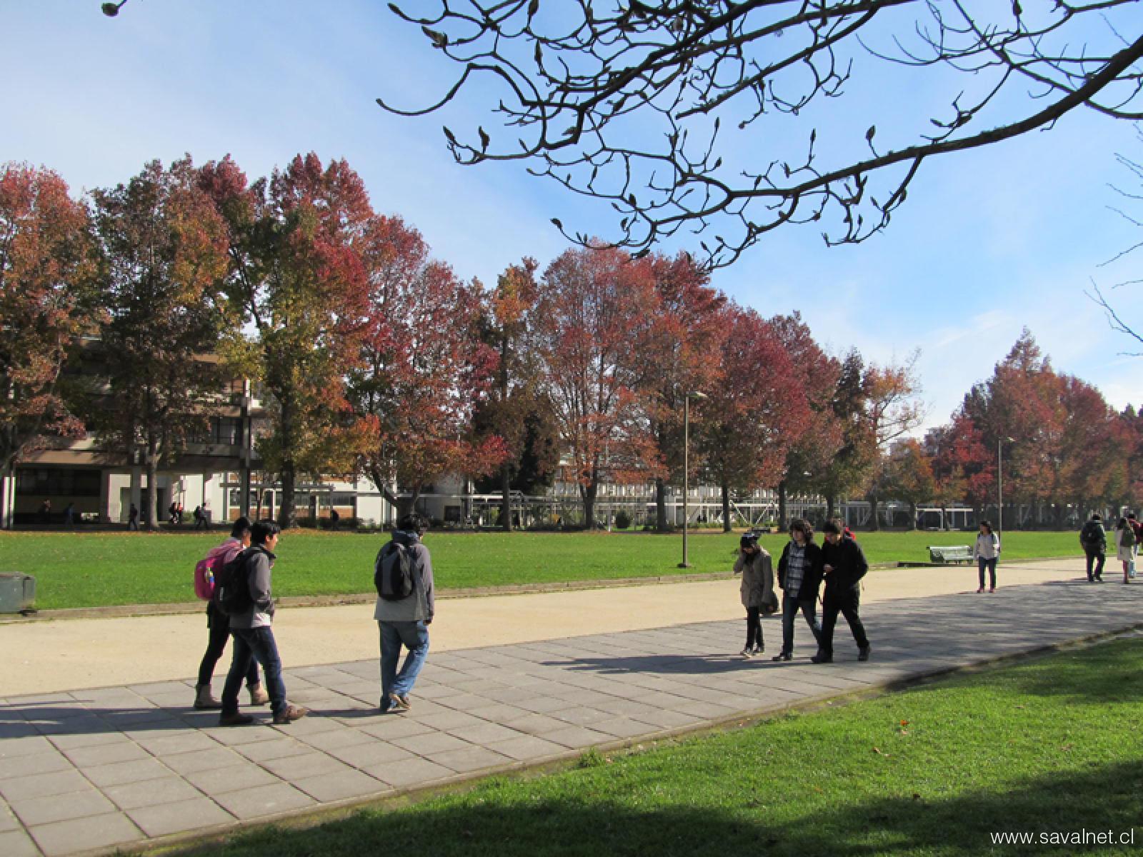 Medicina UdeC: consolidación y liderazgo