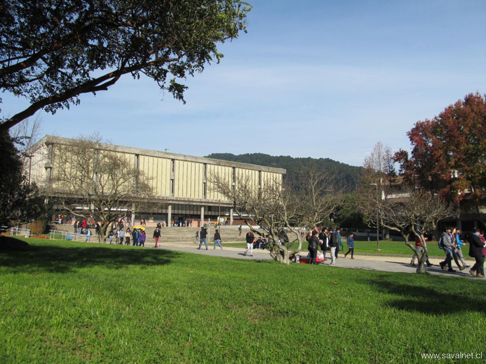 Medicina UdeC: consolidación y liderazgo