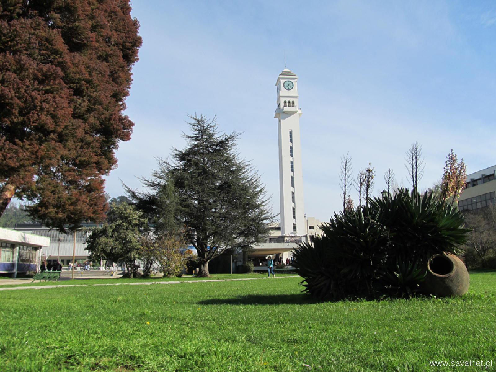 Medicina UdeC: consolidación y liderazgo