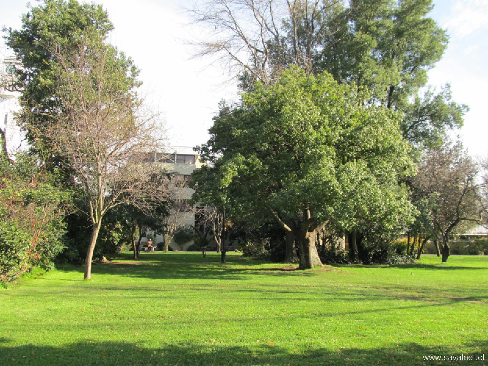 Medicina UdeC: consolidación y liderazgo