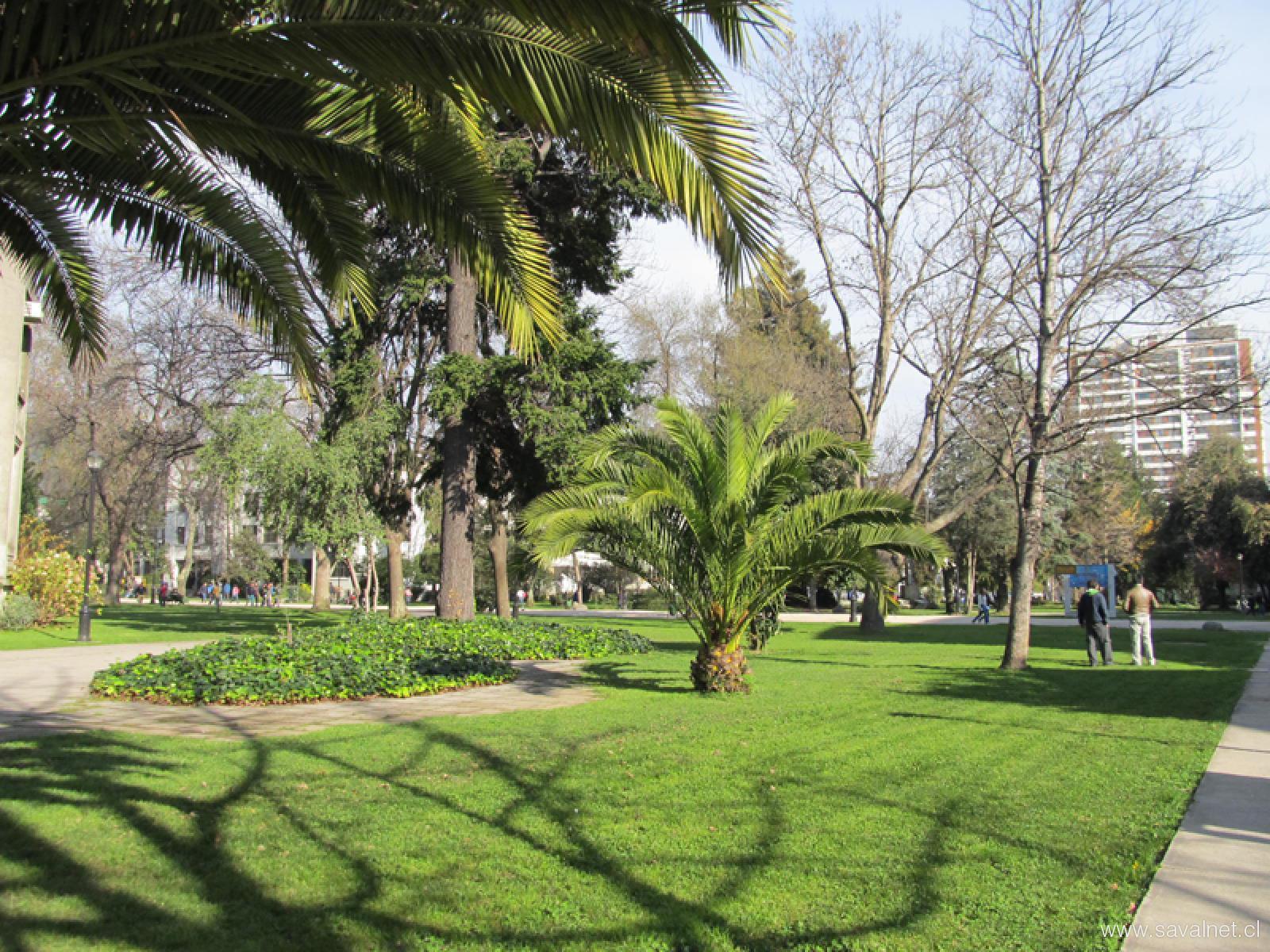 Medicina UdeC: consolidación y liderazgo