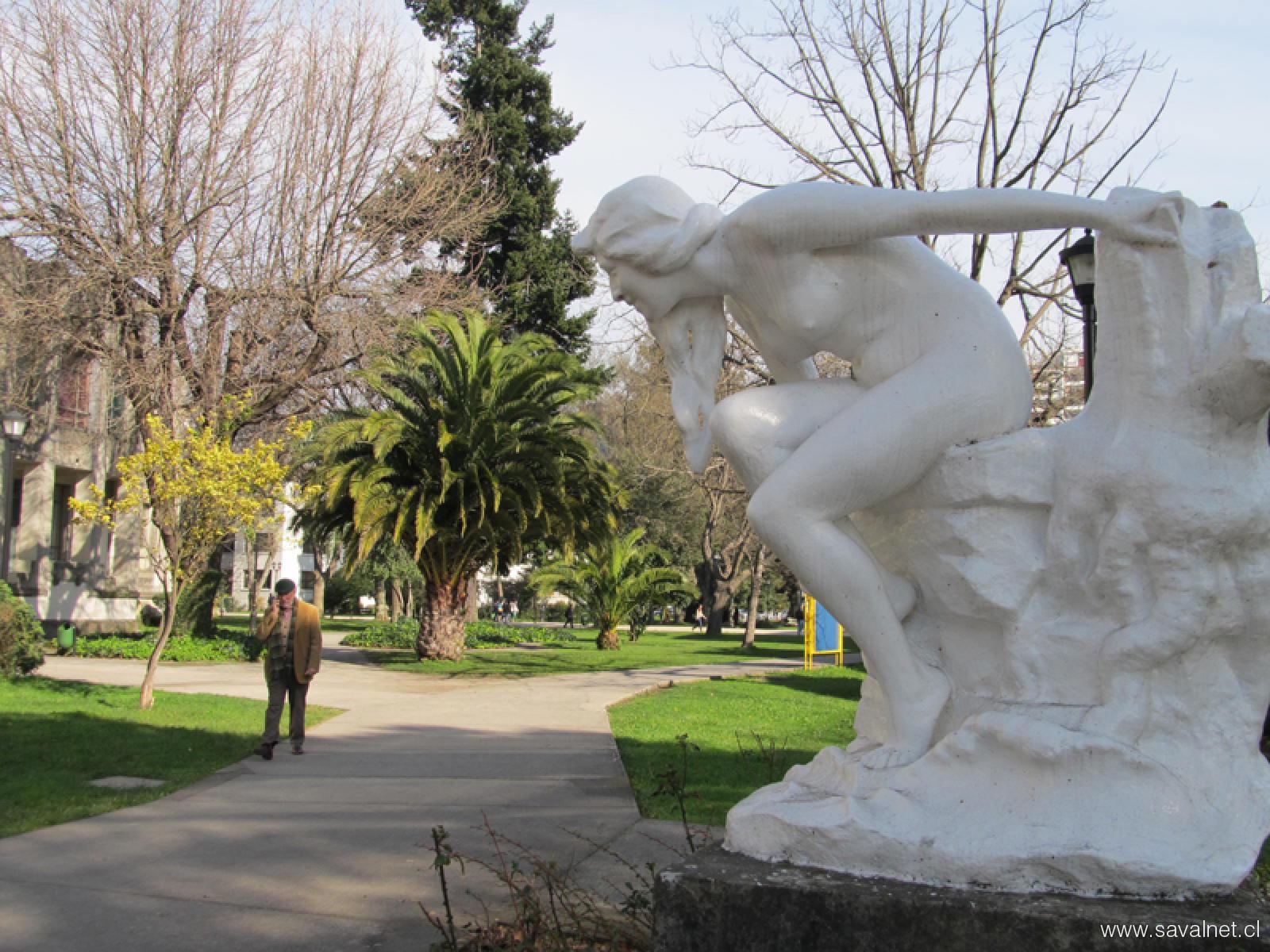 Medicina UdeC: consolidación y liderazgo