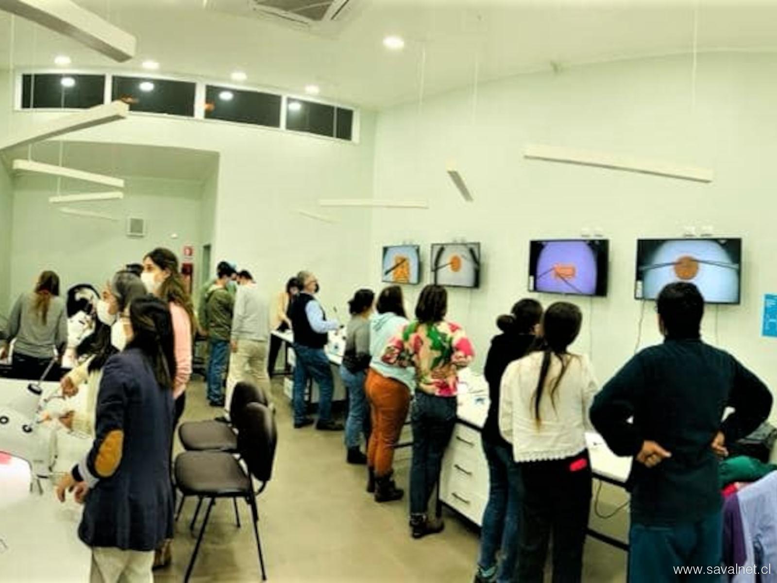 Cirugía ginecológica mínimamente invasiva
