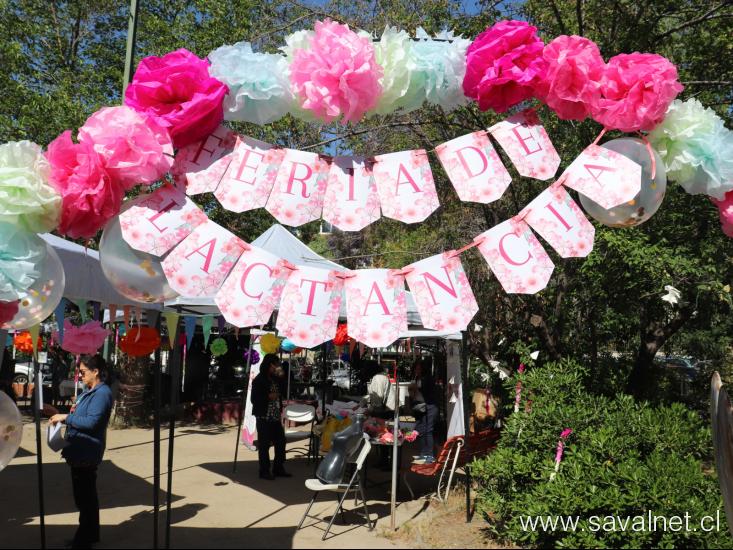 Lactancia materna y sistemas de apoyo sostenible