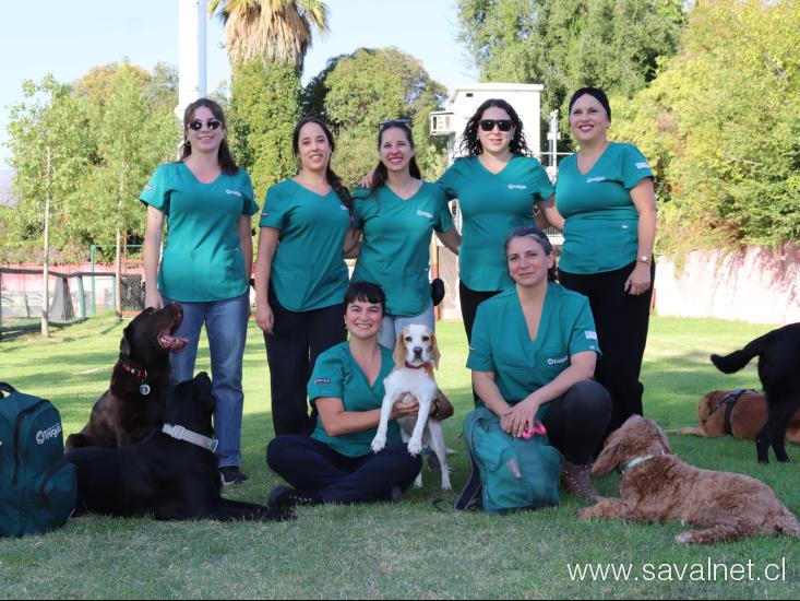 Huellas terapéuticas