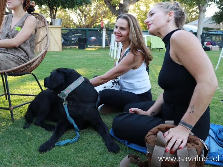 Huellas terapéuticas