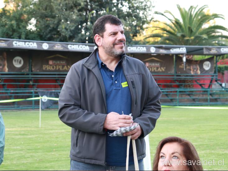 Huellas terapéuticas